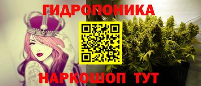 шишки Можайск