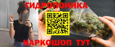 шишки Можайск