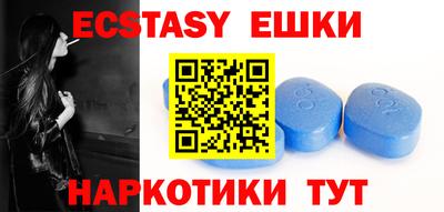 стаф Можга