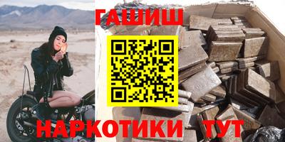 стаф Можга